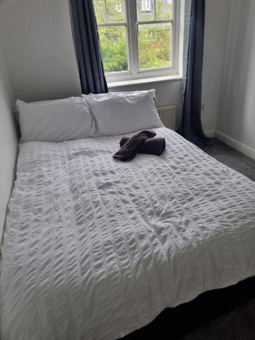 Maidstone Villa 3 Bedroom Free Sports Channels,Parking Sleeps 7 Ngoại thất bức ảnh